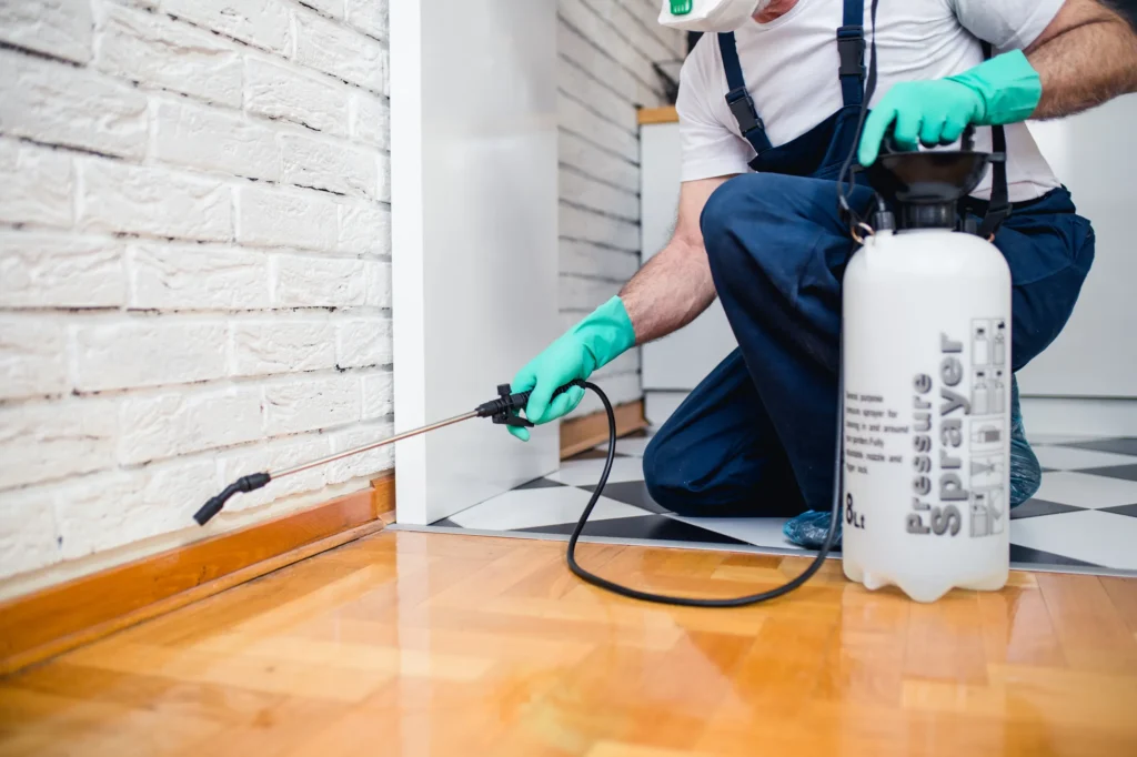 Pest control treatment being carried out safely
